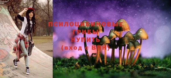эйфоретик Алексеевка