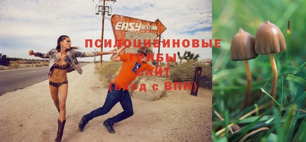 эйфоретик Алексеевка
