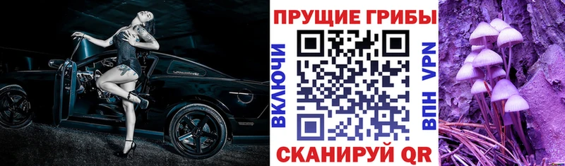 Псилоцибиновые грибы MAGIC MUSHROOMS  Данилов 